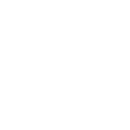 International Air Transport Association