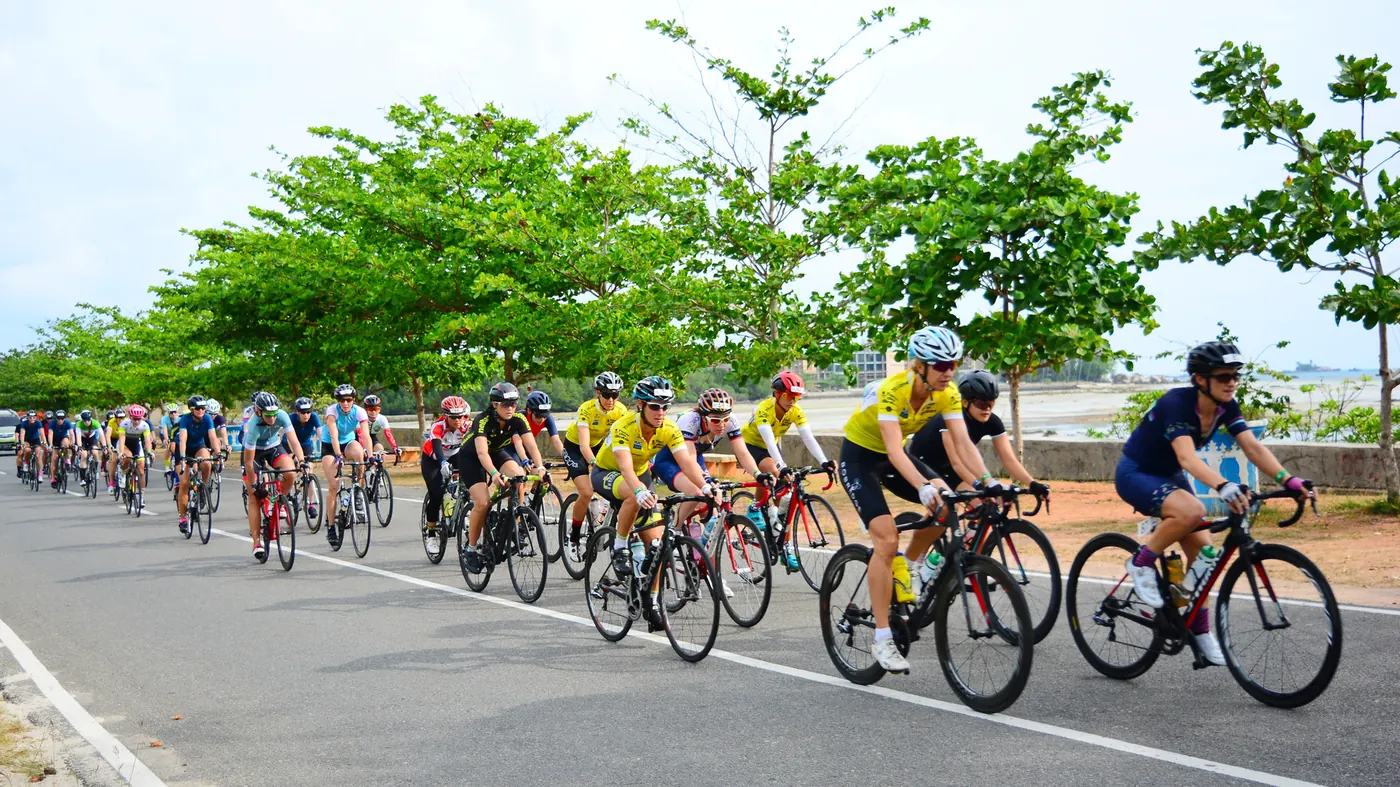 A bunch of cyclists riding together in a road race