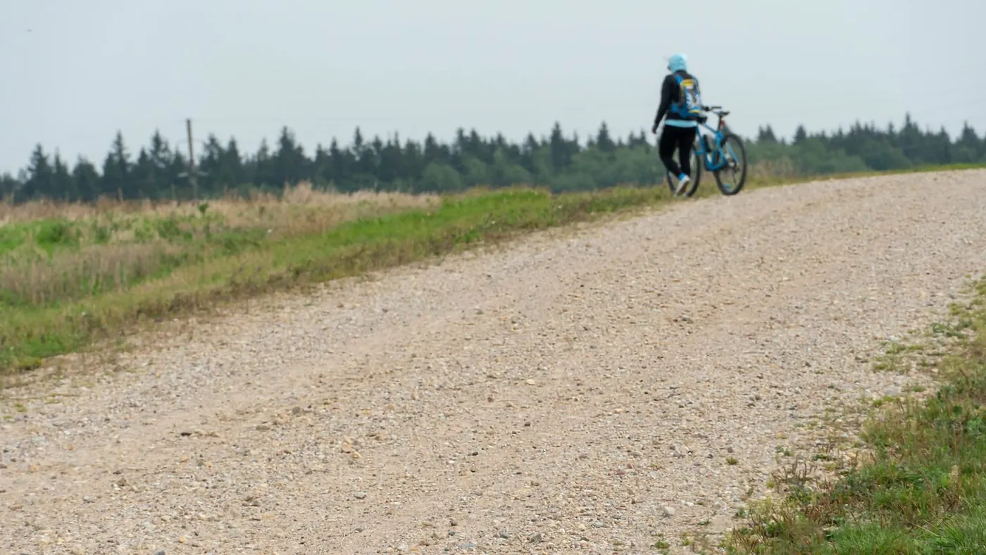 A cyclist on a gravel road between grassland and a line of pine trees