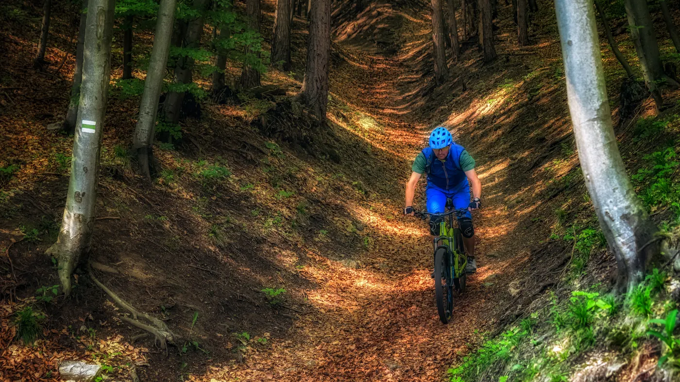 A mountain biker riding down a forest trail