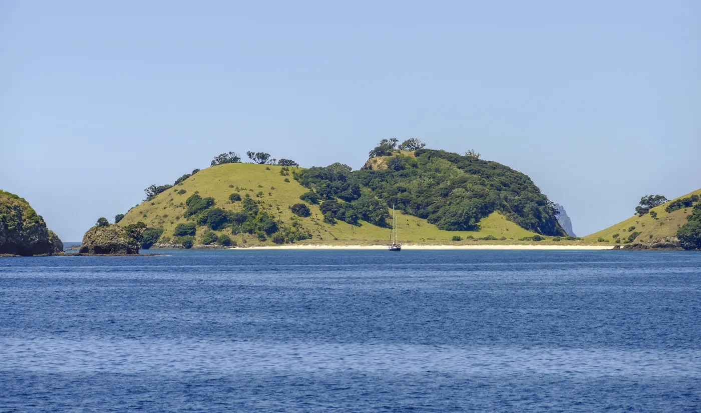 A green island and sheltered bay in the Bay of Islands