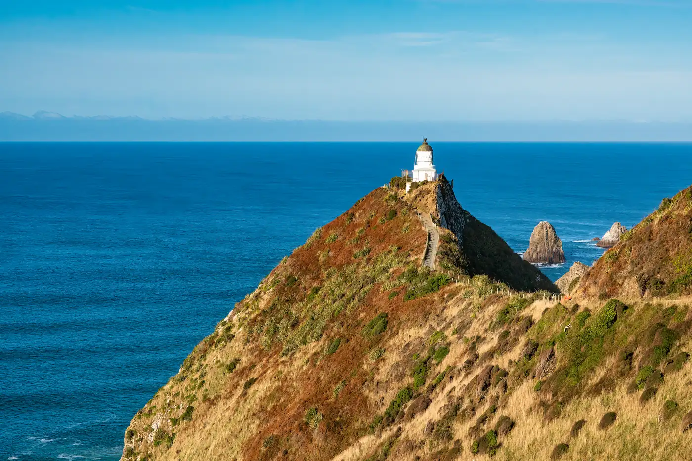 Nugget Point lighthouse on the Catlins coast, a stop on a conservation group tour