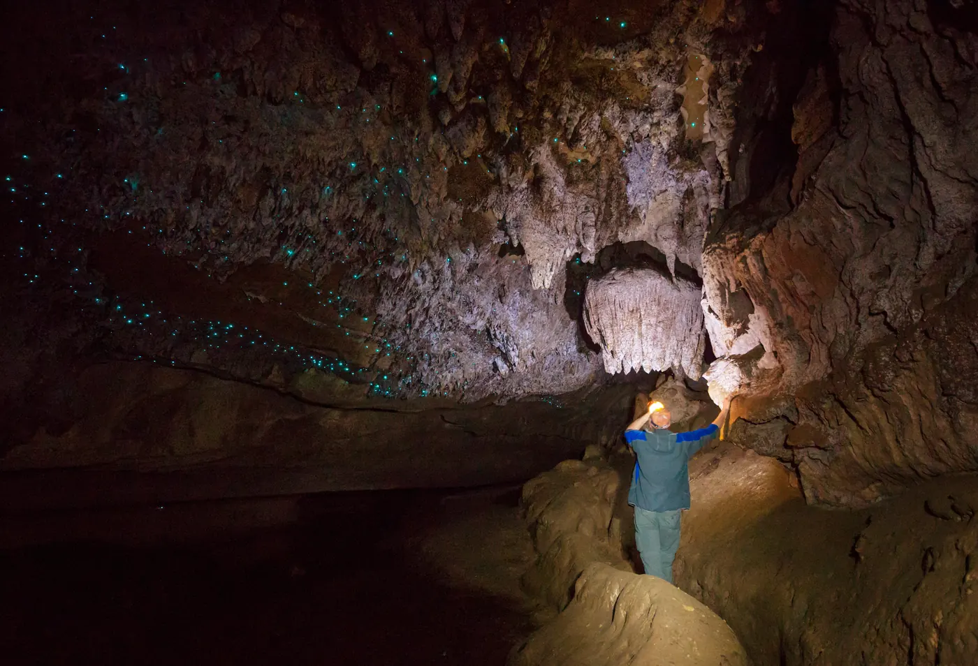 A caver beneath glowworms in a New Zealand cave