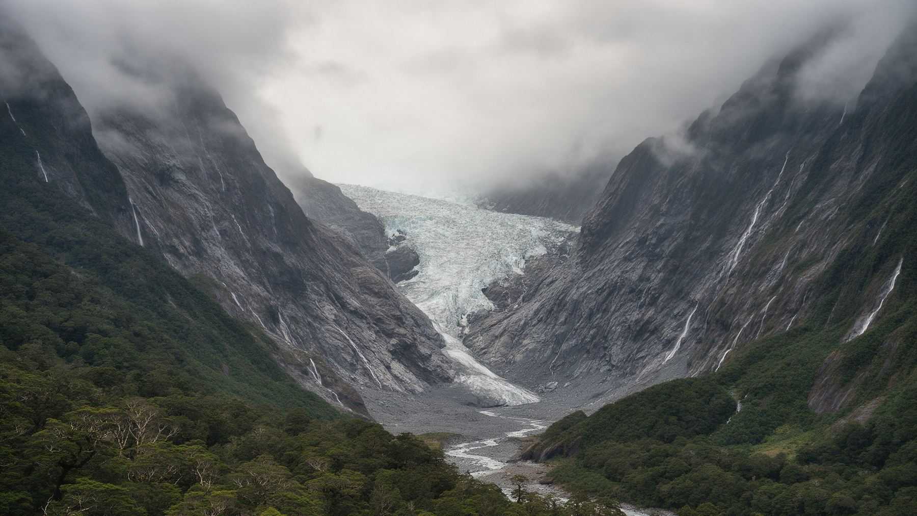A glacier flowing down a steep rainforest-lined valley