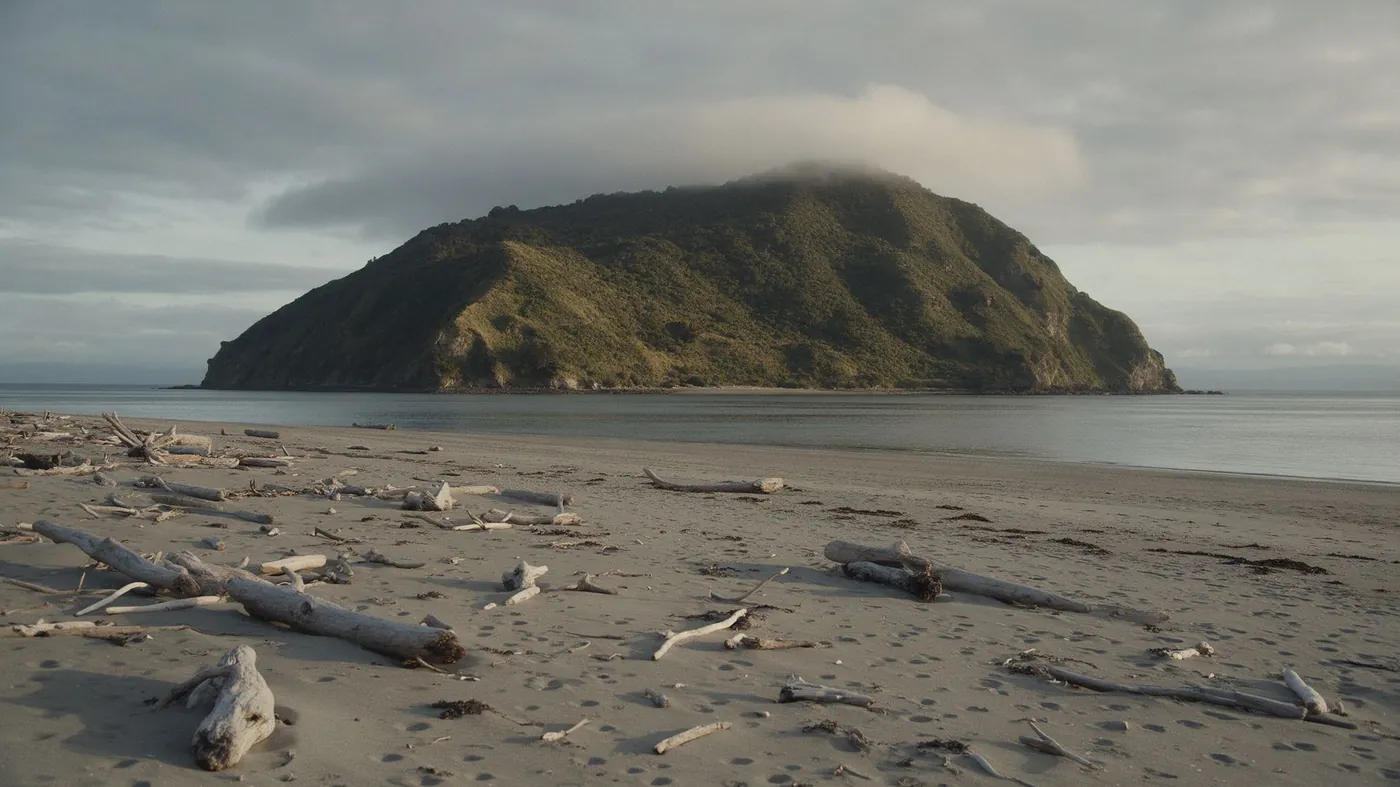 A bush-covered island seen across a driftwood beach