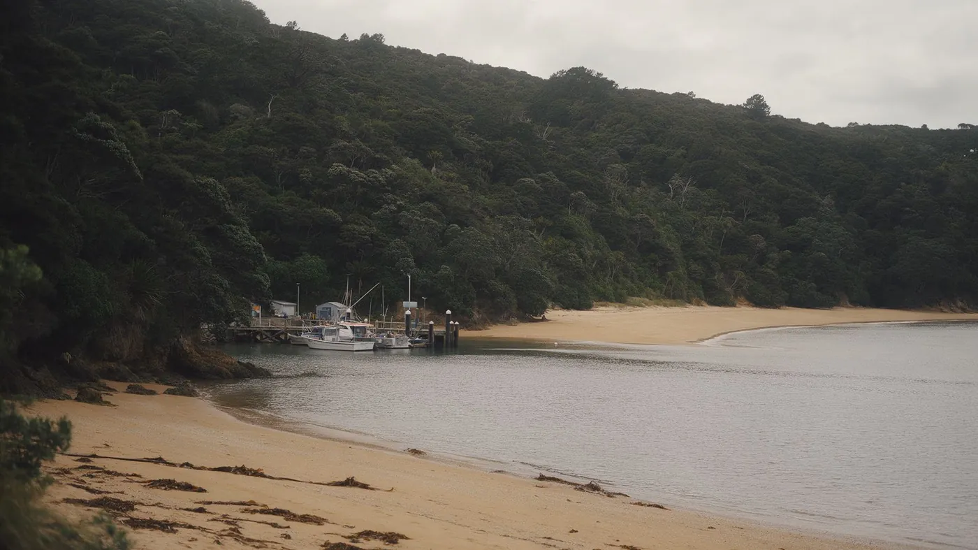 Un pequeño muelle en una bahía de arena bordeada de monte