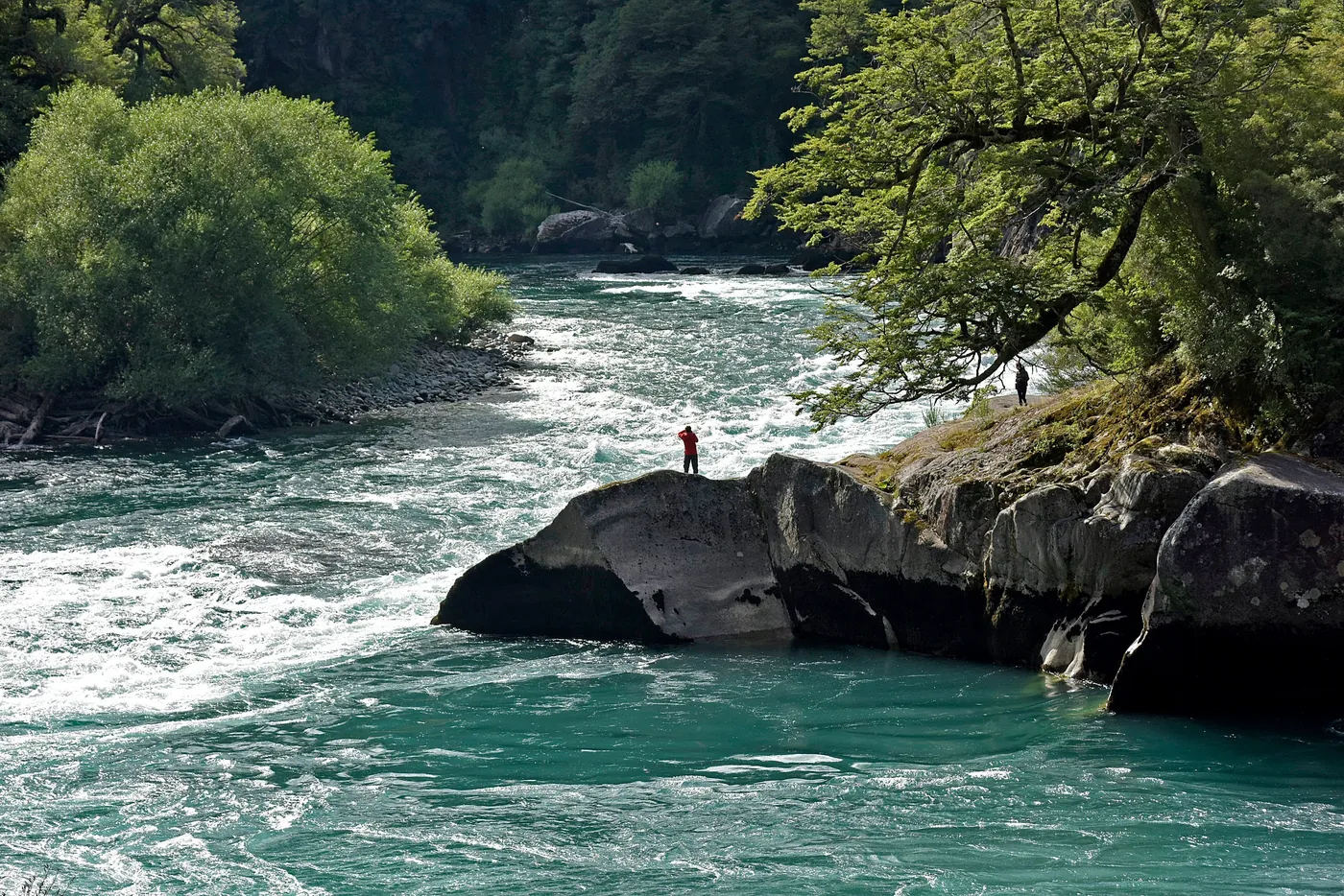 People on a riverbank between trees
