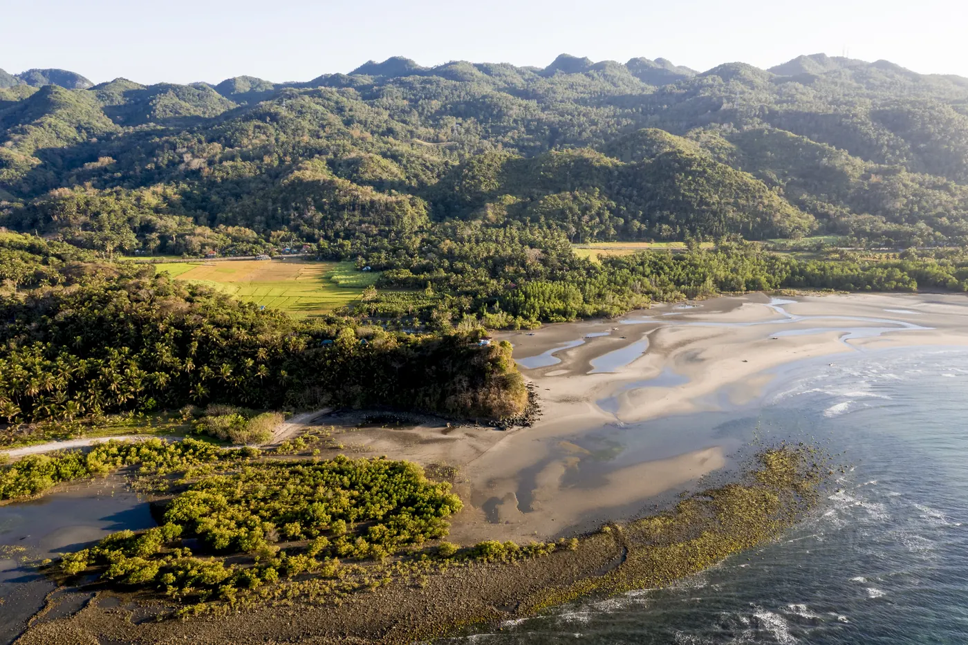 Forested hills running down to a quiet stretch of coast
