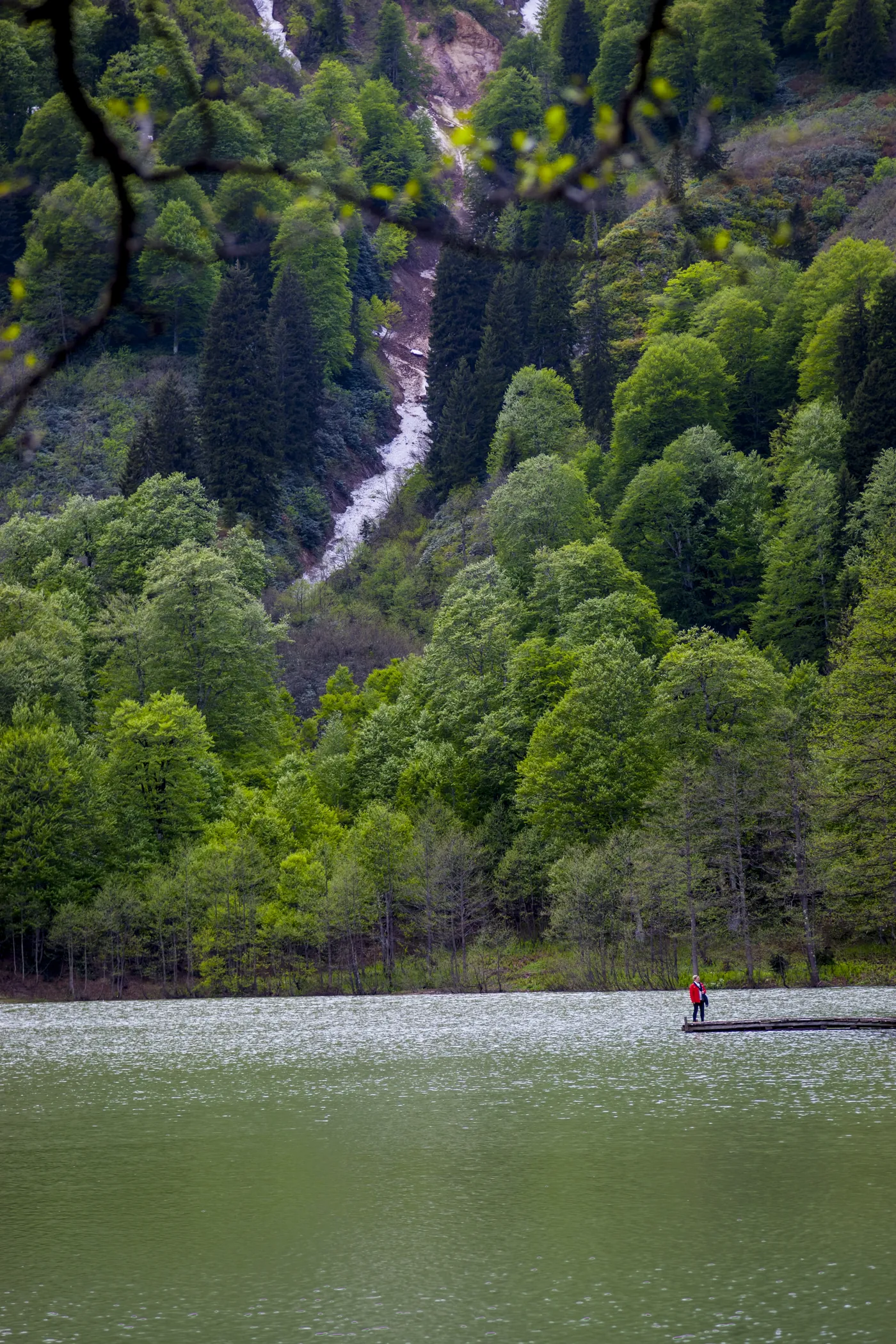 A lake shore below forested hills and a waterfall