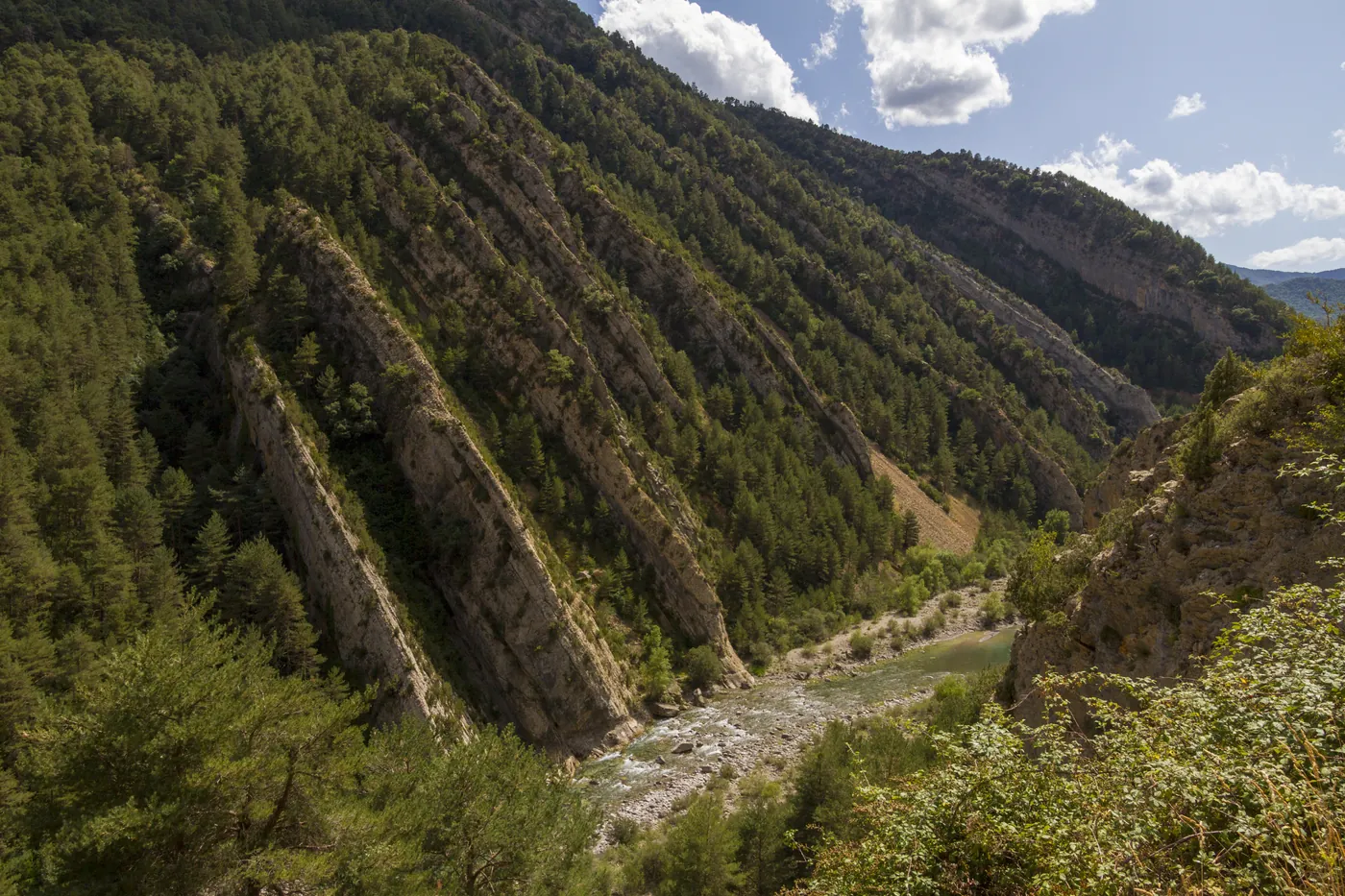 Steep forested slopes above a narrow river valley