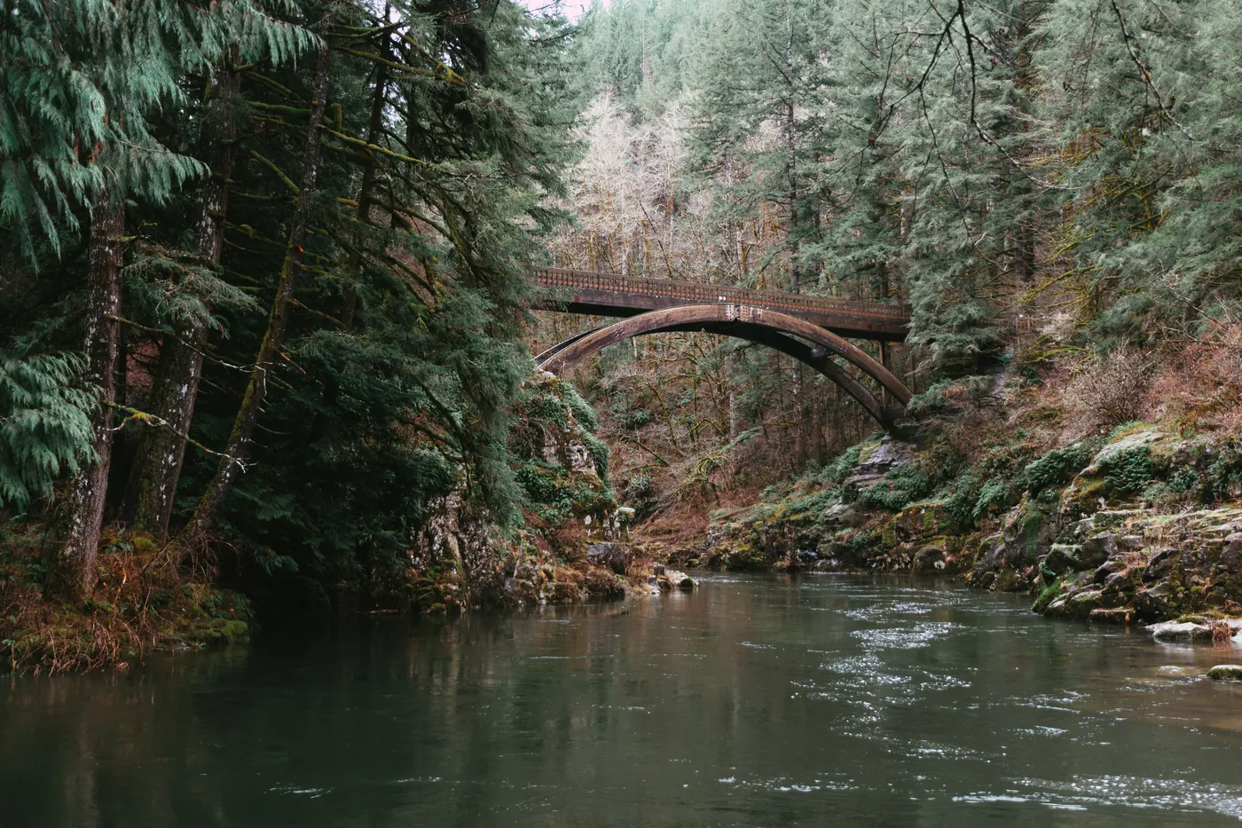 A river below bush-covered banks, with an arched bridge upstream