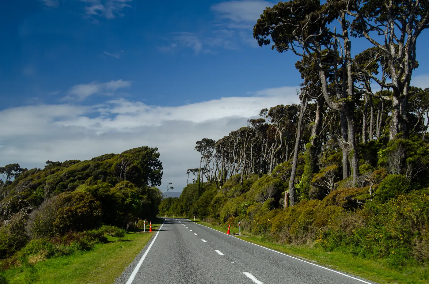 Una carretera en la costa oeste de la Isla Sur