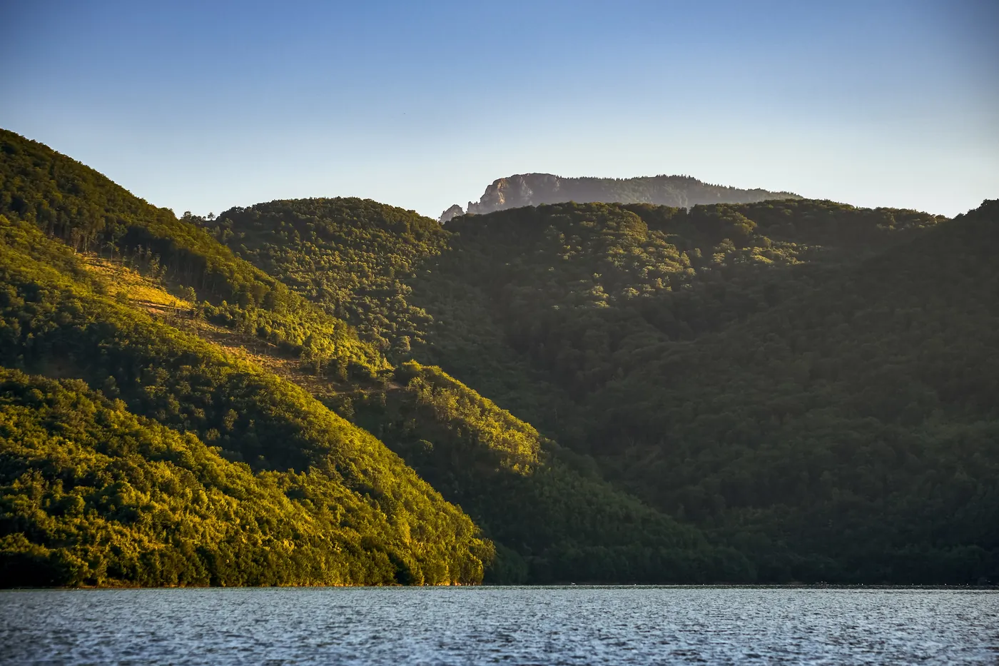 Forested hills dropping into calm water