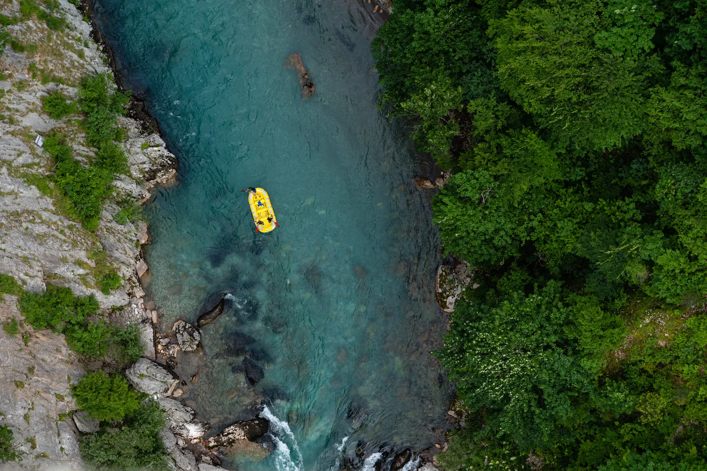 A kayak on a river through forest, seen from above