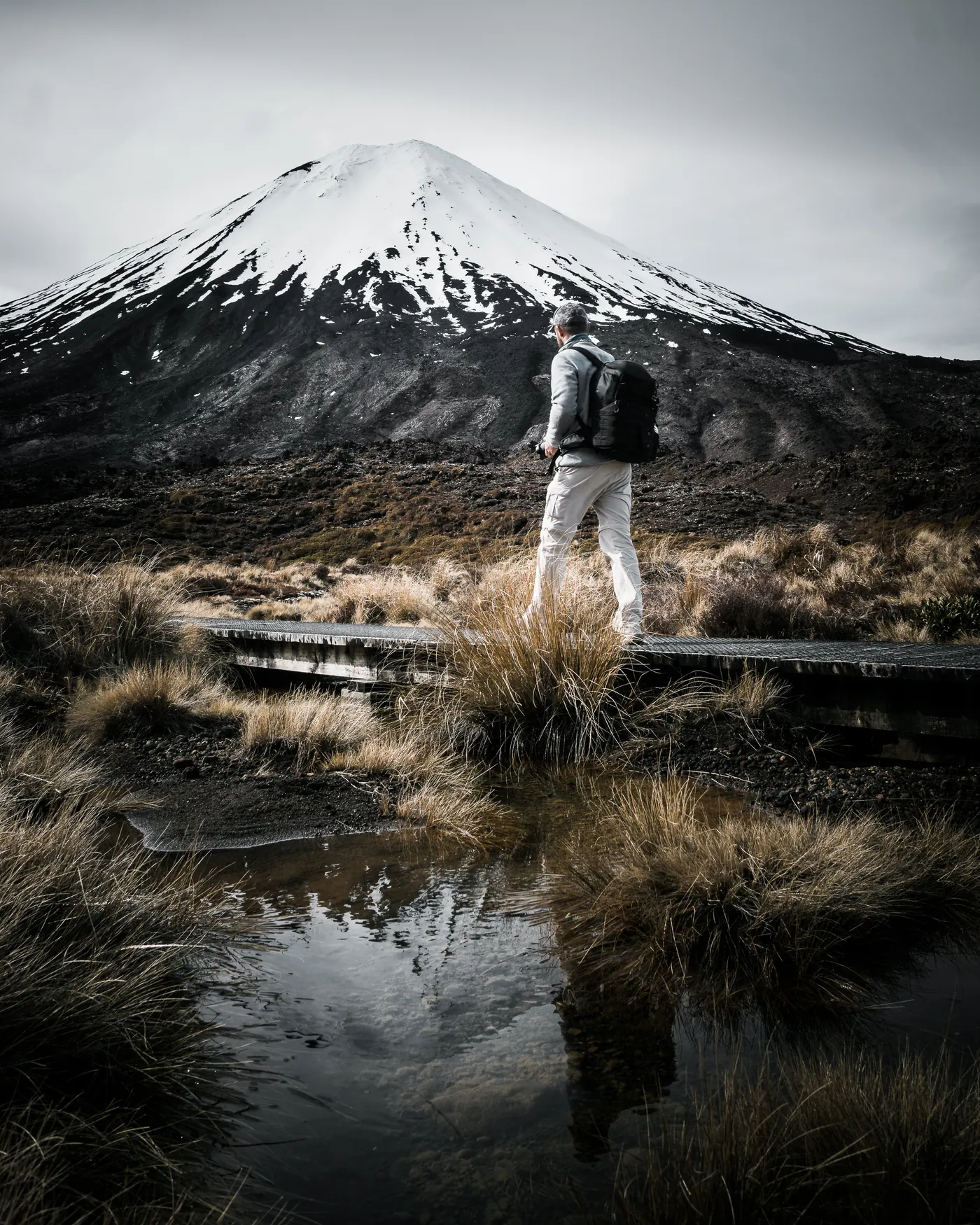A walker on a boardwalk through tussock below a snow-capped volcanic cone