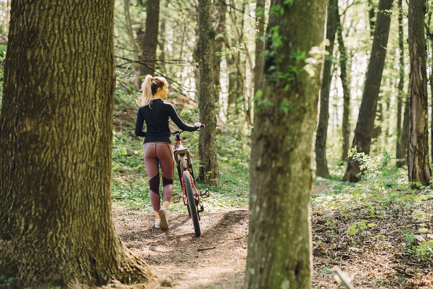 A rider walking a mountain bike along a forest track